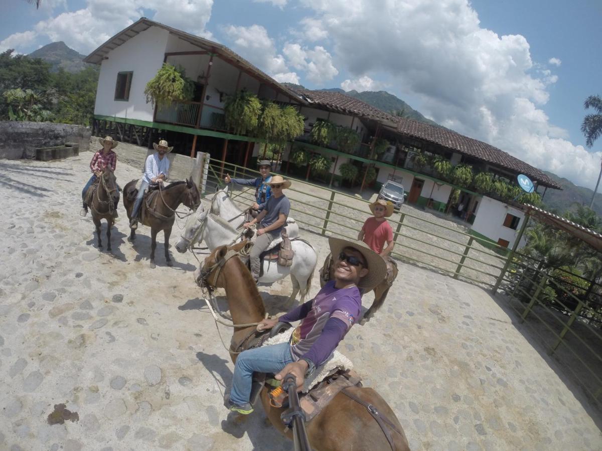 Golden Frog Manizales Hostel Εξωτερικό φωτογραφία